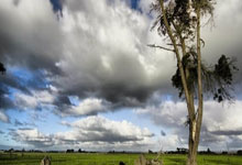 突尼斯与澳大利亚的对决，胜负悬念和看点在哪里？