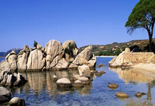 中超俱乐部最新排名榜是怎样的？各队表现背后有哪些故事？